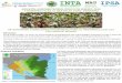 BOLETÍN AGROMETEOROLÓGICO DE ENERO 2018ineter.gob.ni/BOLAGROMET ENE18.pdf · en el cultivo de yuca. En el monitoreo realizado en las plantaciones de cacao ... recomienda aplicar