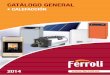 02. Biomasa - climacalefaccion.com · Ferroli presenta en este Catálogo su completa gama de Sistemas de Calefacción y Energía Solar tanto para el sector industrial como el doméstico