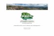 Identificación de Políticas de Mitigación - gob.mx · Pedro Cital Beltrán Eduardo F. Herrera Peraza Salvador Rubalcaba Mendoza ISBN en trámite. Programa Estatal de Cambio Climático