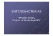ENTEROBACTERIAS - academico.upv.clacademico.upv.cl/doctos/ENFE-6017/{44267BAB-3ED6-4037-8837... · Medios selectivos-diferenciales: agar McConkey, agar EMB McConkey: colonias rosadas