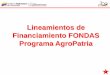 Lineamientos de Financiamiento FONDAS Programa AgroPatria · sujetas a la evaluación y revisión del plan de inversiones, ciclo productivo, rubro y la capacidad de pago del solicitante