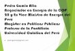 Pedro Gamio Aita Negociador en Energía de la COP …d3nehc6yl9qzo4.cloudfront.net/downloads/pedrogamio28092015.pdf · Gas - Electricidad 1993 2003 2013 2014 Usuarios con GN 0 0 162
