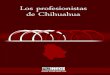 Los profesionistas de Chihuahuainternet.contenidos.inegi.org.mx/contenidos/productos/prod_serv/... · Los profesionistas de Chihuahua. Publicacion unica. Edicion unica. 108 p.p. Documento