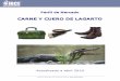 Perfil de Mercado Carne y Cuero de Lagarto - ibce.org.boibce.org.bo/images/estudios_mercado/perfil_mercado_caiman_yacare... · Entérese de las tendencias del uso de cuero de lagarto
