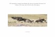 El mastín como medida de prevención frente al lobo: El ...mastinesibericos.es/app/download/5794430494/El+mastin+como+medi… · zonas de Mongolia o ... indirectamente a especies