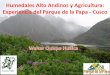 Humedales Alto Andinos y Agricultura: Experiencia del ... · domestación de variedades de cultivos y prohiben en la region la ... prácticas e Innovaciones de las Comunidades Campesinas