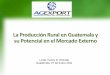 La Producción Rural en Guatemala y su Potencial en el ...export.com.gt/wp-content/blogs.dir/1/files/Competitividad/Presenta... · La Producción Rural en Guatemala y ... Centro de