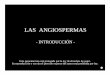 103 Angiospermas 01 Introduccion - … · LAS ANGIOSPERMAS - INTRODUCCIÓN - Esta presentación está protegida por la ley de derechos de autor. Su reproducción o uso sin el permiso