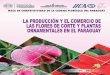 floricola-2.indd 1 24/04/2017 10:39:29 - repositorio.iica.intrepositorio.iica.int/bitstream/11324/3227/1/BVE17089172e.pdf · de Floricultura de la Dirección de Extensión Agraria
