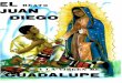 Juan Diego y la Virgen de Guadalupe - BLOGG DE … · —Señora y Niña mía, tengo que llegar a tu casita de México Tlatilolco, a oír misa y escuchar las cosas divinas que nos