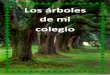 Los árboles de mi colegio - CEIP ANTONIO GARCÍA …ceipgarciaquintana.centros.educa.jcyl.es/sitio/upload/Trabajo_de... · 1 Este trabajo ha sido elaborado por los alumnos de 6º