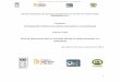 Proyecto: INTEGRACIÓN APÍCOLA EN EJIDOS …ppd.org.mx/tts/up/documentos/bd1360-1er-Talleres... · Bromeliaceae Ananas communia Piña Hierba Burseraceae Bursera simaruba (L.) Sarg