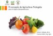 El concepto de Agricultura Protegida - mag.go.cr .• En Costa Rica esta agroindustria está iniciando