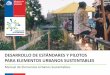 DESARROLLO DE ESTÁNDARES Y PILOTOS PARA …csustentable.minvu.gob.cl/wp-content/uploads/2018/01/MODULO_1... · Manual de Elementos Urbanos Sustentables . Ministerio de Vivienda y
