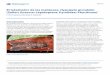 El taladrador de las meliáceas, Hypsipyla grandella ...edis.ifas.ufl.edu/pdffiles/IN/IN61400.pdf · de brotes de árboles meliáceos en regiones tropicales ... Las alas traseras