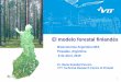 El modelo forestal finlandés - bioeconomia.mincyt.gob.ar · Limpieza de gas para syngas ... Metanol Gasolina Diesel Gasolina DME Hidrógeno Metanización SNG PSA GASIFICACION. 14/05/2015