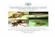 Comunidades de Arañas de la Reserva Natural …aracnologia.macn.gov.ar/biblio/Grismado 2007 Araneae Otamendi.pdf · ... además de que las delimitaciones de los grupos conocidos