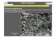 5 QUATERNARIO OGL (per pdf) - geologilazio.it · un’unità sedimentaria; può essere normale o inversa o in sequenze miste ... Facies Come ultima cosa va annotata la litofacies