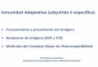 Procesamiento y presentación del Antígeno Receptores de Antígeno (BCR y .2017-04-28 · Receptores