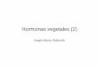 Hormonas vegetales (2) - Fisiología Hortícola | Material ... · • Crecimiento y desarrollo de frutos (Inducción de la partenocarpia en algunas especies frutales) ... Promueve