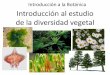 Introducción a la Botánica Introducción al estudio de la ... · Nomenclatura botánica (y zoológica…) Introducción a la Botánica DBBE FCEyN - UBA NOMENCLATURA BINOMIAL: A