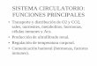 SISTEMA CIRCULATORIO: FUNCIONES PRINCIPALEScronos.unq.edu.ar/fisgen/Sistema Cardiovascular 2014.pdf · SISTEMA CIRCULATORIO: FUNCIONES PRINCIPALES •Transporte y distribución de