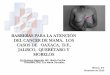 BARRERAS PARA LA ATENCIÓN DEL CANCER DE …tomateloapecho.org.mx/Archivos web TAP/Zacatecas/PRESENTACION... · los servicios de salud en la atención del cáncer de mama en estados