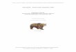 Oso pardo – Ursus arctos Linnaeus, 1758 - digital.csic.esdigital.csic.es/bitstream/10261/112114/1/ursarc_v2.pdf · Sociedad de Amigos del MNCN – MNCN - CSIC Oso pardo ... dividido