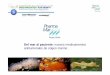 Del mar al paciente: nuevos medicamentos antitumorales de ...€¦ · Magnitud de la Biodiversidad Marina ... Recolección manual y selectiva con sistemas de escafandra ... El futuro