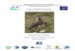 Rapport final simplifié Carole Attié et Isabelle Chesnot · PROGRAMME DE RENFORCEMENT ... (MNHN) et la Sociedad Española de Ornitologia ... ponctuellement les effets de l'agriculture