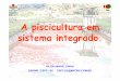 A piscicultura em sistema integrado.intranetdoc.epagri.sc.gov.br/producao_tecnico_cientifica/DOC_7043.pdf · •Aeradores (a noite) no período final do cultivo