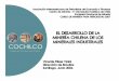 EL DESARROLLO DE LA MINER ÍA CHILENA DE LOS MINERALES ... El Desarrollo de la... · el desarrollo de la miner Ía chilena de los minerales industriales ... neto de sales potásicas