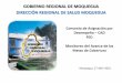 GOBIERNO REGIONAL DE MOQUEGUA DIRECCIÓN REGIONAL DE … Metas de... · NO registro de vacunas en el FUA, ... del registro y digitación en el correcto registro y procesamiento de