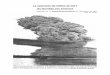 LA EXPLOSIÓN DE HALIFAX DE 1917 - Maniobra de explosion de halifax de... · alimentado su ego mandado