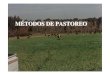 M todos de Pastoreo - Actividad Agropecuaria | ISEAcursosagropecuarios.org.ar/Alumnos/Material-de-Estudio/Cursos... · ANA PRIMAVESI. PLANTA SUELO ANIMAL. Los métodos de pastoreo