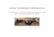 OSO PARDO IBÉRICO - Dipòsit Digital de Documents de la UAB · 2015-11-04 · diversas especies en peligro de extinción, ... En cuanto a los proyectos de recuperación del oso en