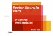 Sector Energía 2015 · independientes, y ha desarrollado ... Nuestra red global de profesionales del sector energía ... (incluye carta de recomendaciones con respecto al Control