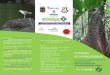 Financia: Colabora - ecoguinea.comecoguinea.com/wp-content/uploads/2016/02/TripticoPrograma_SB.pdf · Ecoguinea y el Proyecto de Plantas Medicinales Talleres gratuitos para estudiantes