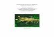 Producción de camarón blanco (Litopenaeus vannamei ...sinat.semarnat.gob.mx/dgiraDocs/documentos/jal/estudios/2007/14JA... · La eliminación de la necesidad de fuentes de reproductores