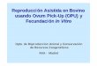 Reproducción Asistida en Bovino usando Ovum Pick-Up (OPU ... · " Espontánea in vitro" Maduración nuclear Reanudación de la meiosis Profase I - Metafase II (=ovulación) " Maduración