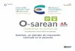 Osarean, un ejemplo de innovación centrada en el paciente · Datos de Filiación : Es la información administrativa y de contacto que Osakidetza dispone, lo que le permite al paciente