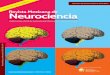 Revista Mexicana de Neurocienciarevmexneuroci.com/wp-content/uploads/2017/10/RevMexNeuroci_2017... · y afasia. En la ... disfunción bioeléctrica tipo subcortical en región 
