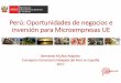 Perú: Oportunidades de negocios e inversión para ...aemmevic/images/PDFsEventos/Peru... · Consejero Comercial Embajada del Perú en España 2017 Perú: Oportunidades de negocios