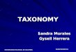 TAXONOMY - EMBnet Colombia - Centro de Bioinformática del ...bioinf.ibun.unal.edu.co/cbib/estudiantes/1-07/expoEst/taxonomy.pdf · por taxones agrupados en categorías taxonómicas