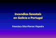 Incendios forestais en Galicia e Portugalconsellodacultura.gal/mediateca/extras/CCG_ac_2018_incendiosforest... · • Santiago (1685) : …tan secos fueron el verano y el estío de