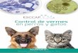Control de vermes en perros y gatos - Homepage | ESCCAP · vermes adultos se localizan en el aparato circulatorio y no en los pulmones, ... y una anamnesis completa, lo cual es fundamental