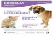 NOROCLAV PERROS Y GATOS anunci · NOROCLAV Comprimidos para perros y gatos Amoxicilina Trihidrato + Ácido clavulánico 50 mg / 250 mg / 500 mg NUEVA PRESENTACIÓN NOROCLAV AHORA