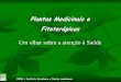 Dr. Alexandros Botsaris - Brasil189.28.128.100/dab/docs/eventos/seminario_pnpic/dia15_05/dr... · diferentes ações nos receptores que atuam modulando funções do organismo Plantas