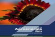 Anuário Estatístico da Agroenergia - agricultura.gov.br · Ministério da Agricultura, Pecuária e Abastecimento Secretaria de Produção e Agroenergia Brasília/ DF 2013 Promover