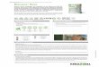 LÍNEA CONSTRUCCIÓN / Morteros Naturales Transpirables para ...products.kerakoll.com/gestione/immagini/prodotti/Biocalce Base.pdf · • Uniformiza la planicidad y la absorción